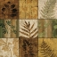 Picture of NATURE^S TOUCH I