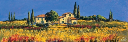 Picture of CAMPAGNA TOSCANA