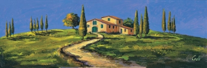 Picture of CASOLARE IN TOSCANA