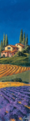 Picture of CASALE FRA I CIPRESSI