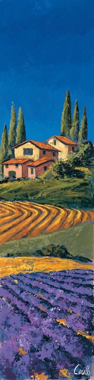Picture of CASALE FRA I CIPRESSI