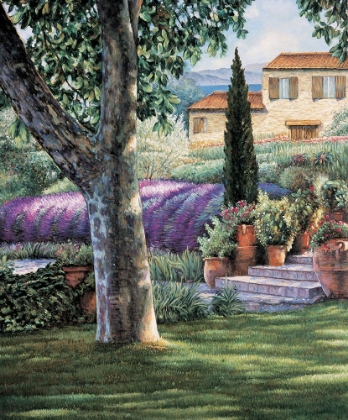 Picture of PROVENCE AFTERNOON I