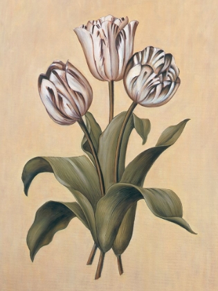 Picture of TULIPS II