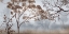 Picture of EARLY MORNING MIST II