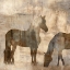 Picture of EQUINE II