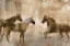 Picture of HORSE SENSE