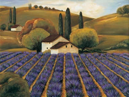 Picture of FIELD OF LAVENDER I
