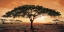 Picture of MEMORIES OF MASAI MARA