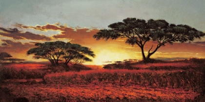 Picture of MEMORIES OF SERENGETI