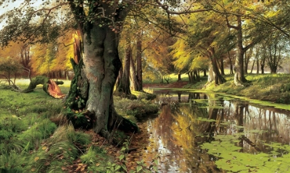 Picture of A WOODLAND STREAM