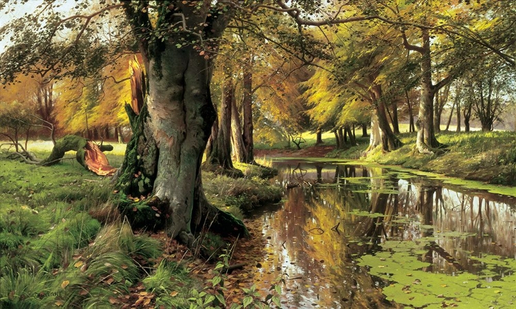 Picture of A WOODLAND STREAM