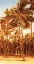 Picture of ISLAND SUNSET I
