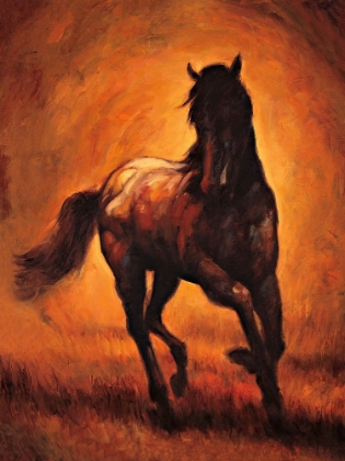 Picture of STALLION I