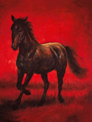 Picture of STALLION II