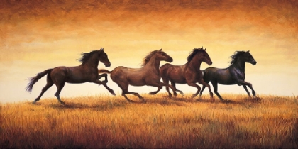 Picture of STALLIONS AT SUNSET