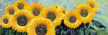 Picture of FIORI DI GIRASOLE