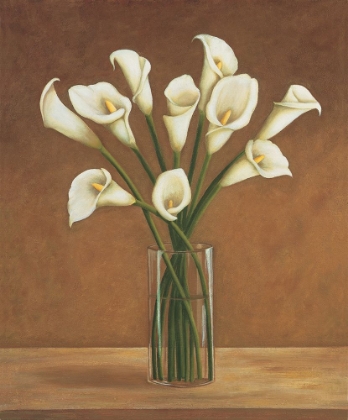 Picture of CALLAS DANS UN VASE