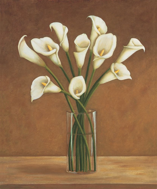 Picture of CALLAS DANS UN VASE