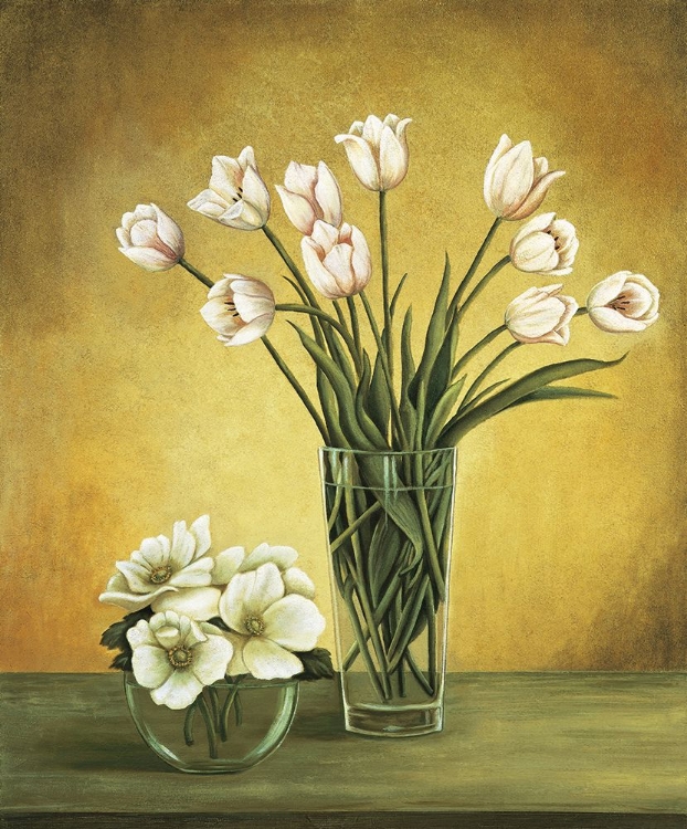 Picture of TULIPES BLANCHES