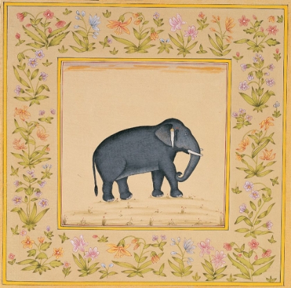 Picture of ELEPHANT