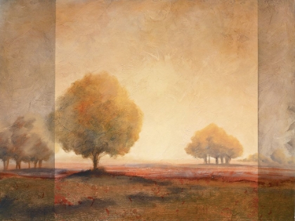 Picture of GOLDEN TREES II