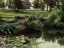 Picture of LAKESIDE FLORAL