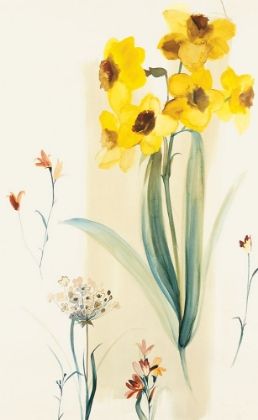 Picture of FDAFFODILS