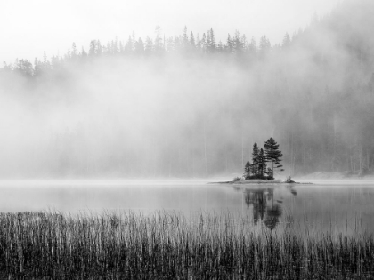 Picture of ISLAND FOG