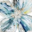 Picture of BLOSSOM BURST