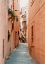 Picture of FES
