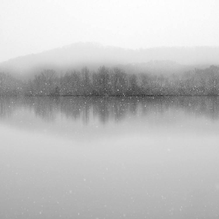 Picture of SNOWFALLS; CLINCH RIVER