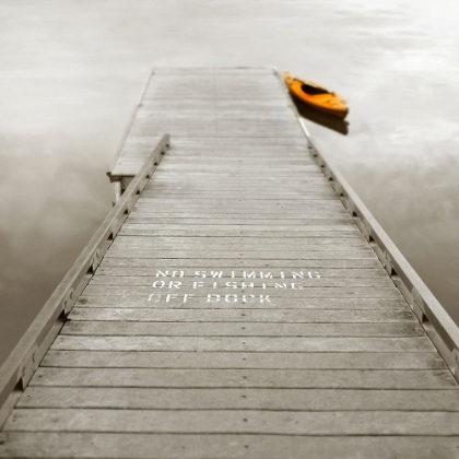 Picture of NO SWIMMING