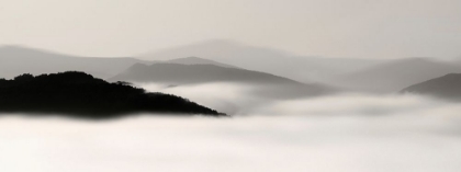 Picture of MOUNTAIN FOG NO. 2