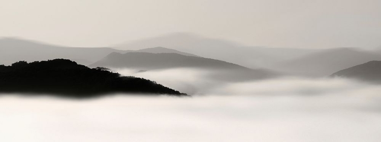 Picture of MOUNTAIN FOG NO. 2