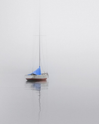 Picture of SAILBOAT; RED, WHITE AND BLUE