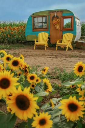 Picture of VINTAGE CAMPER AND SUNFLOWERS 1