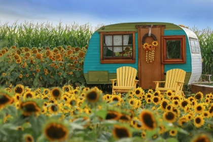 Picture of VINTAGE CAMPER AND SUNFLOWERS 2