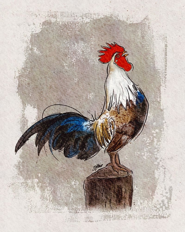 Picture of COCK-A-DOODLE-DO