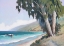 Picture of CENTRAL CALIFORNIA COAST