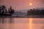 Picture of MORNING SHIMMER