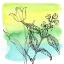 Picture of GARDEN IN BLOOM 2