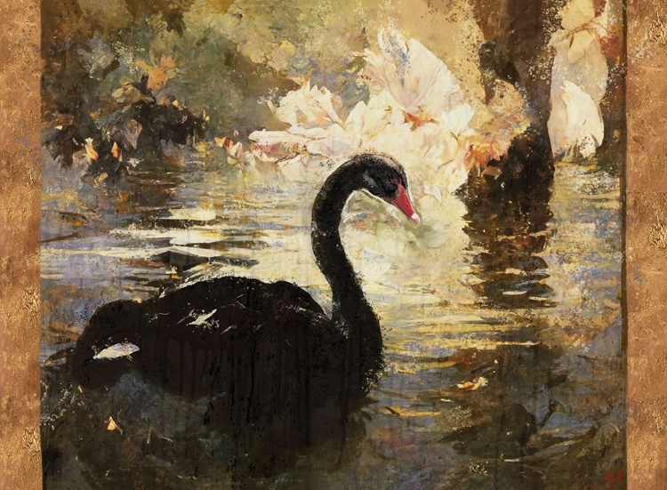 Picture of SWAN I