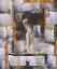 Picture of STARCHILD PHOTOART III