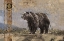 Picture of BEAR BW