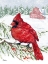 Picture of CRIMSON CARDINAL VERTICAL II