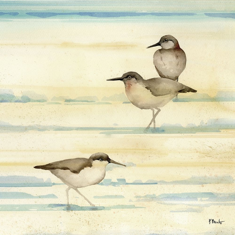 Picture of OCEANSIDE SANDPIPERS II