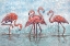 Picture of IMPRESSIONS OF FLAMINGOS HORIZONTAL