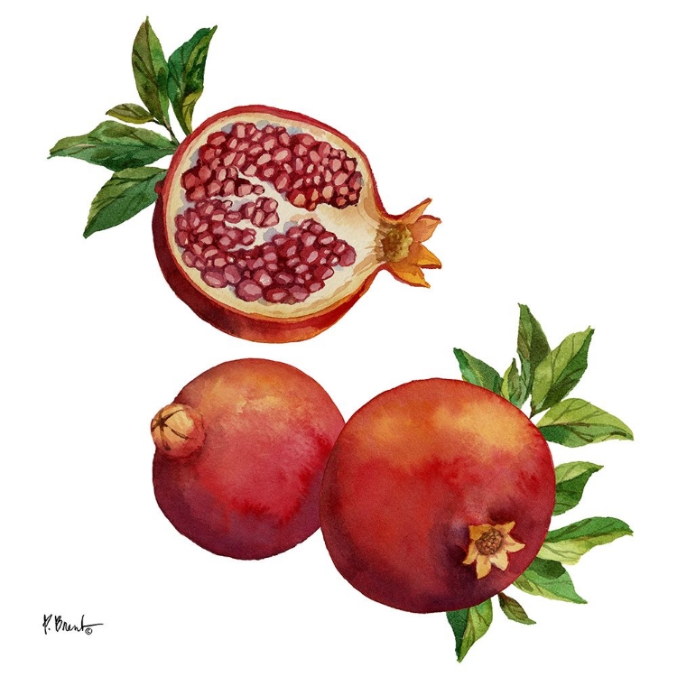 Picture of POMEGRANATE BUNCH III