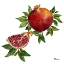 Picture of POMEGRANATE BUNCH IV