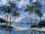 Picture of IMPRESSIONS OF PALMS HORIZONTAL I